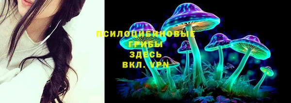 ALPHA-PVP Армянск